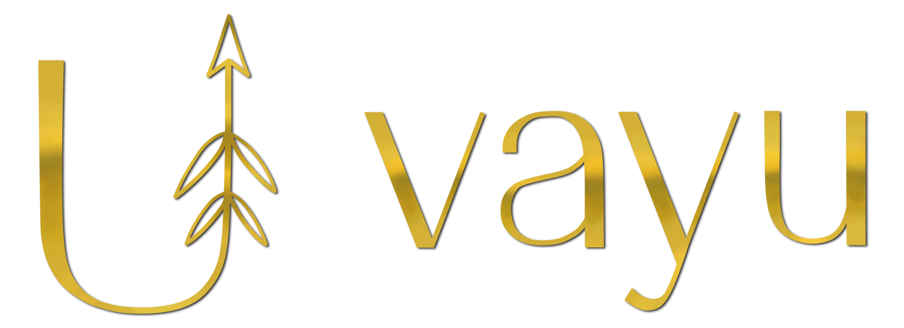 Vayu co | Lifestyle & Wellness